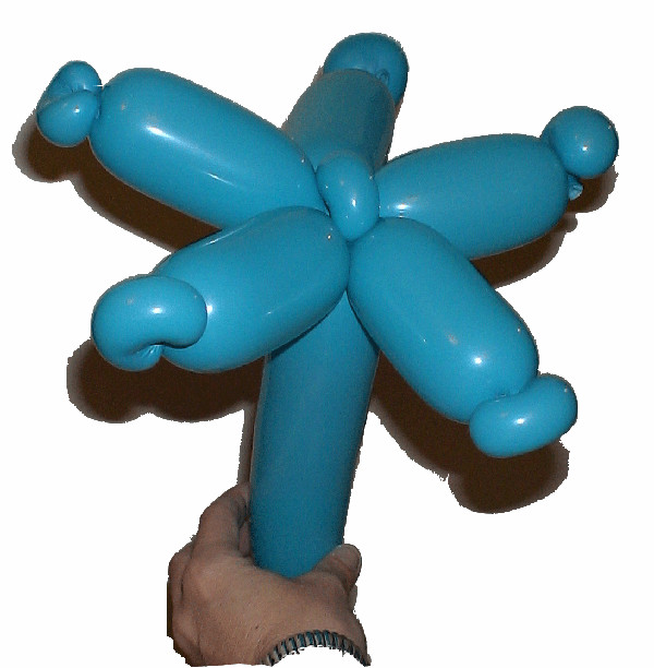 600 etoile fleur